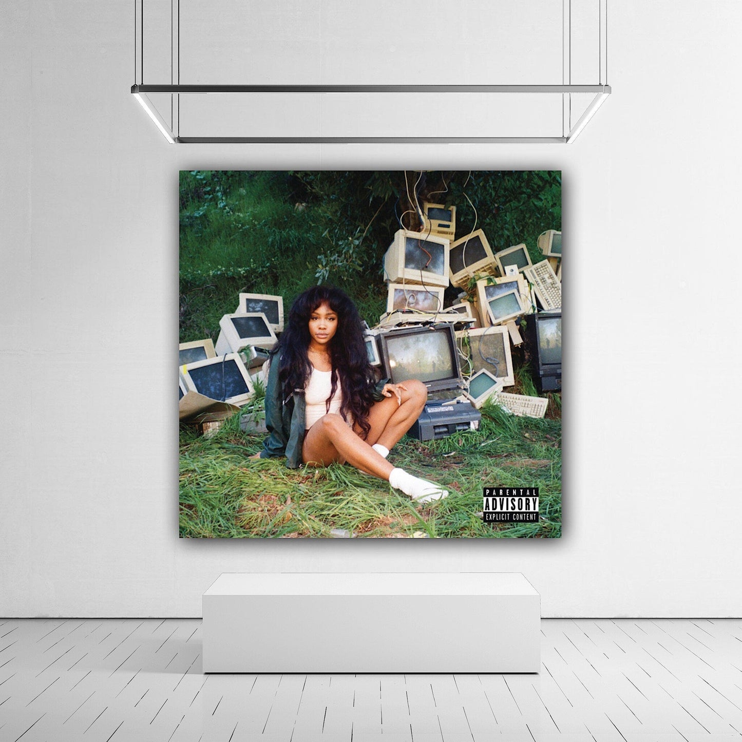 SZA - CTRL Canvas